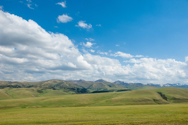 Hora, hora, vrch. Kazachstán. Tien Shan. Komplet plošina - Fotografie, Obrázek
