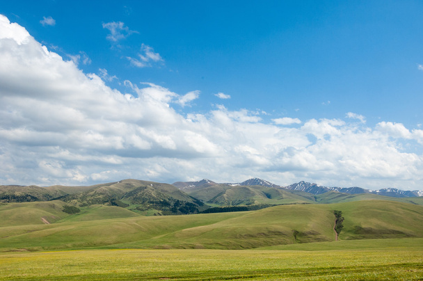 mountain, mount, hill. Kazakhstan. Tien Shan. Assy plateau - Photo, Image