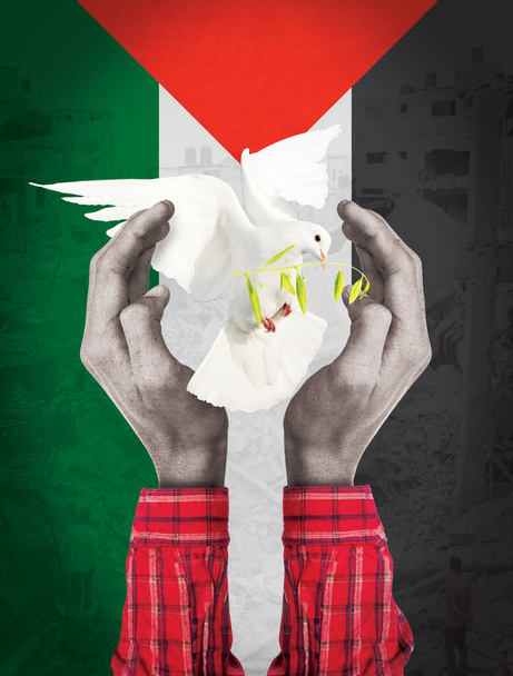 Witte duif die een olijftak uitstrekt. Handen die vrede omarmen. Een wereld zonder oorlog. Vervolging. Palestijnse vlag achtergrond. De oorlog in Gaza. Contrast van opvattingen over staat en terrorisme. - Foto, afbeelding