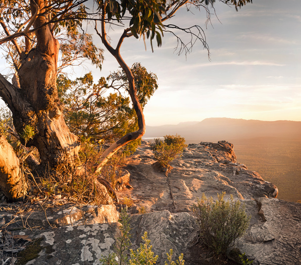 Australische Buschland-Landschaft - Foto, Bild