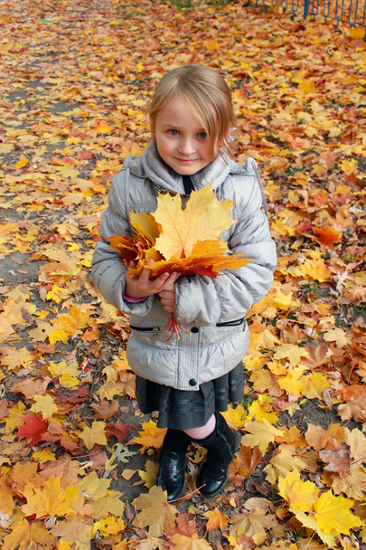 bambina con foglie gialle nel parco
 - Foto, immagini