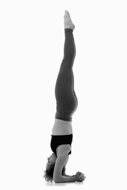 Pincha Mayurasana (Υπόλοιπο Feathered Peacock ή Forearm). Ashtanga yoga Πλευρική άποψη της γυναίκας που φοράει αθλητικά ρούχα κάνοντας Yoga άσκηση σε λευκό φόντο. Ασπρόμαυρη εικόνα. - Φωτογραφία, εικόνα