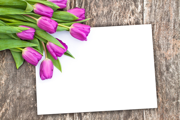 Tulipes violettes sur la table en chêne marron avec feuille de papier blanche 5
 - Photo, image