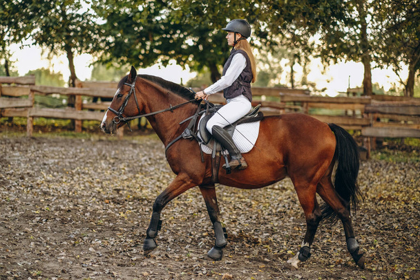 Egy fiatal gyönyörű női zsoké készül egy show jumping versenyre. Egy női lovas egy barna versenylovon lovagol. A női zsoké lovagol.. - Fotó, kép