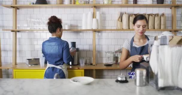 Woman, coffee shop and barista, smile, serving customer and cafe in startup, working and store. Service, business owner and server with colleague, worker and apron for restaurant, drink and waitress. - Footage, Video