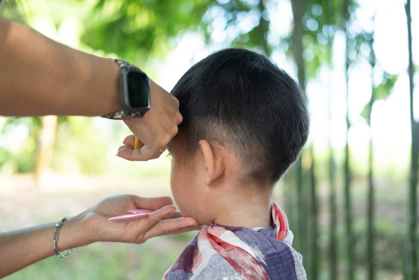 Barbiere taglio capelli di un asiatico ragazzo in un open space pieno di alberi - Foto, immagini