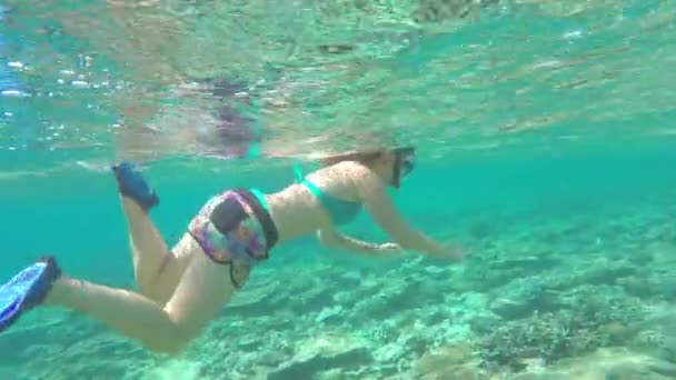 Γυναίκα, κολύμβηση με αναπνευστήρα σε ύφαλο Ινδικού Ωκεανού - Πλάνα, βίντεο