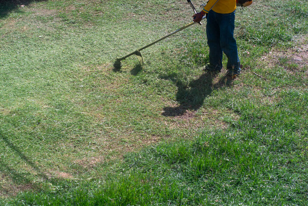 Güneşli bir günde çim biçen adam - Fotoğraf, Görsel