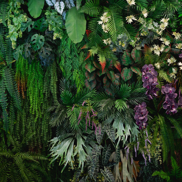 Primer grupo de hojas verdes de fondo textura y fondo abstracto. Concepto de naturaleza de hoja tropical. - Foto, imagen
