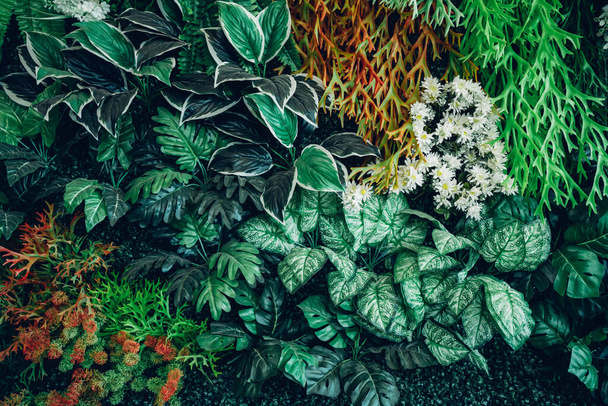 背景熱帯緑の葉のテクスチャと抽象的な背景のグループを閉じます。熱帯の葉の自然概念. - 写真・画像