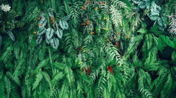 Primer grupo de fondo hojas verdes tropicales textura y fondo abstracto. Concepto de naturaleza de hoja tropical. - Foto, imagen