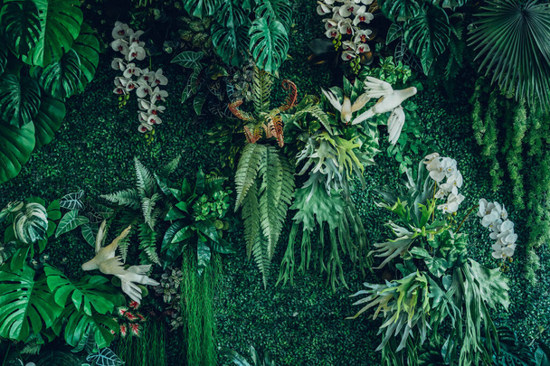 A background with an abstract design and a close-up texture of green leaves., tropical leaf and Nature concept.	 - Foto, immagini