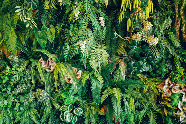 Group of background tropical green leaves texture. Natural green wallpaper and background. Green of Nature wallpaper.	 - Φωτογραφία, εικόνα