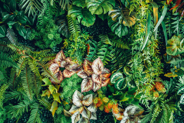 Group of background tropical green leaves texture. Natural green wallpaper and background. Green of Nature wallpaper.	 - Photo, Image