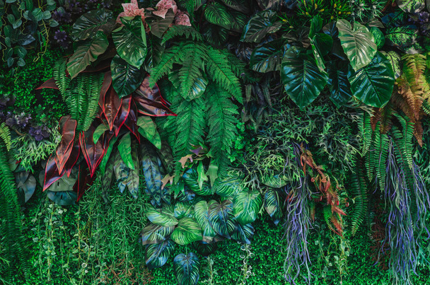Primer grupo de fondo hojas verdes tropicales textura y fondo abstracto. Concepto de naturaleza de hoja tropical. - Foto, imagen