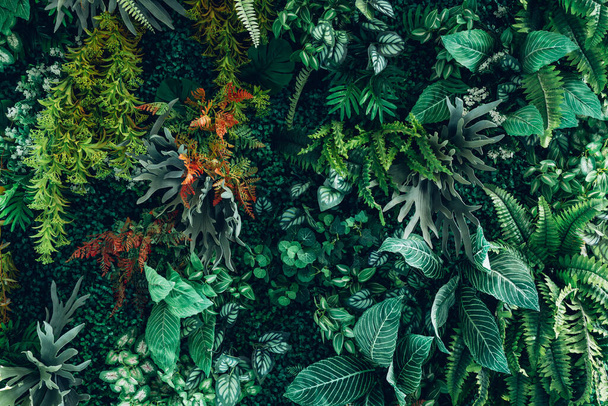 Gruppe von Hintergrund tropischen grünen Blättern Textur. Natürliche grüne Tapete und Hintergrund. Grün der Natur Tapete. - Foto, Bild