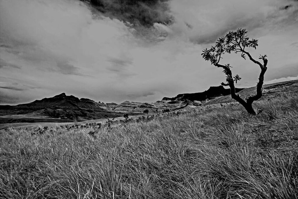 Monochrome mountain landscape seen from a hiking trail in the Royal Natal National Park in the Drakensberg South Africa - Photo, Image