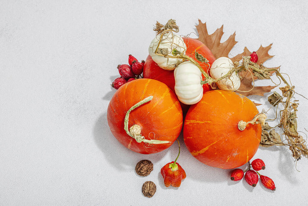 Podzimní kompozice na světlém kamenném pozadí. Dýně, žaludy, bobule a ořechy. Podzimní listí, plochá poloha, místo pro text - Fotografie, Obrázek