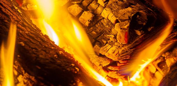 Φωτιά. Η φωτιά είναι μια σημαντική διαδικασία που επηρεάζει τα οικολογικά συστήματα σε όλο τον κόσμο. Θετικά αποτελέσματα περιλαμβάνουν τόνωση της ανάπτυξης και τη διατήρηση διαφόρων οικολογικών συστημάτων - Φωτογραφία, εικόνα
