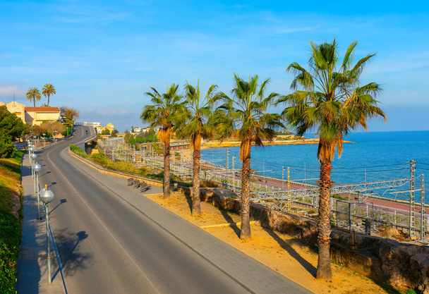 İspanya, Tarragona 'da deniz kıyısında palmiye ağaçları ve yol - Fotoğraf, Görsel