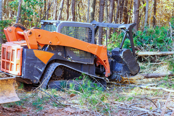 Mulcher forestal utilizado por el contratista para la limpieza de uso general en el bosque - Foto, imagen