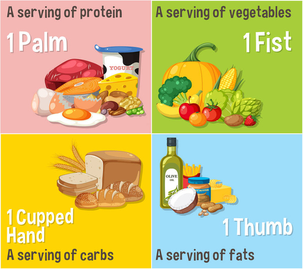 食品マクロン栄養素のセット:タンパク質,繊維,炭水化物,脂肪イラスト - ベクター画像