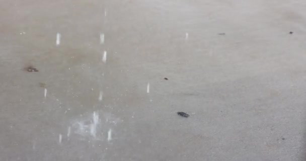 Camino de entrada de hormigón en una tormenta fuertes gotas de lluvia durante el aguacero durante la tormenta - Imágenes, Vídeo
