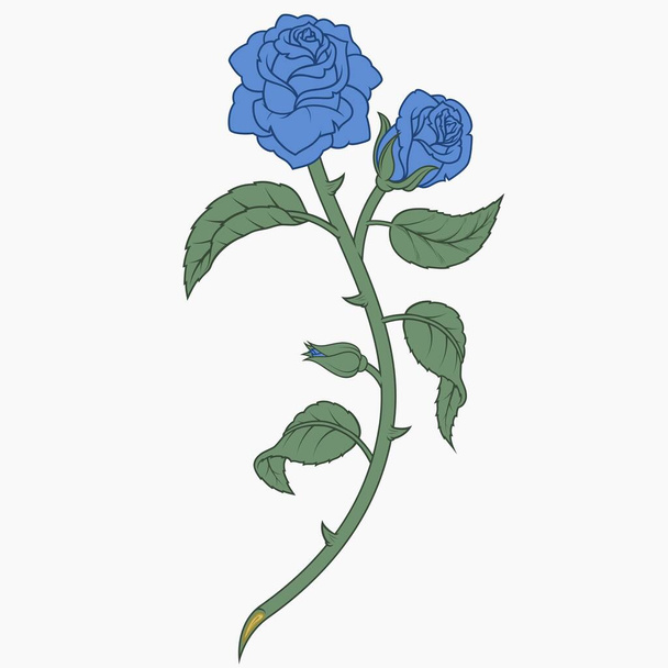 Vektordesign eines Rosenstraußes mit Blättern, Blütenblättern und Dornen, Geschenk für Verliebte, Pflanze zur Dekoration - Vektor, Bild