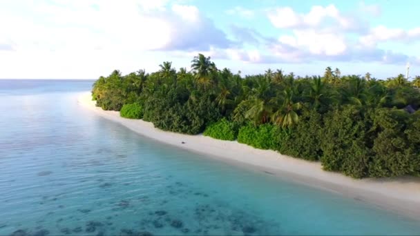 素晴らしい砂浜と青緑色の水 - 映像、動画