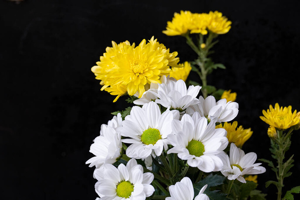 piękne jasne kwiaty, zbliżenie - Zdjęcie, obraz