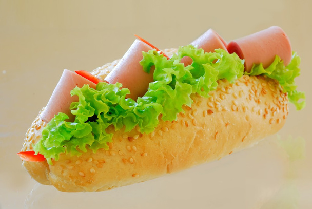 海底サンドイッチ - 写真・画像