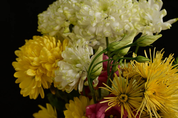 belles fleurs, fond concept floral - Photo, image