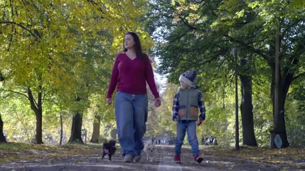 Matka i syn spacerują z psami w jesiennym parku. Opieka rodzinna i miłość do zwierząt domowych spacery w sezonie żółtych liści razem. Wysokiej jakości materiał 4k - Materiał filmowy, wideo