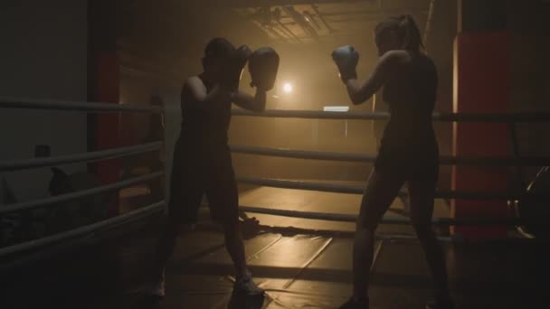 Largo tiro de entrenador enseñando a la mujer a hacer postura de boxeo en anillo débilmente iluminado - Imágenes, Vídeo