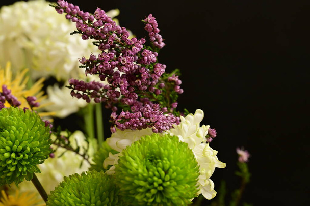 piękne jasne kwiaty, zbliżenie   - Zdjęcie, obraz