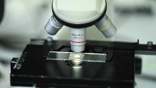 Жінка-науковець, яка дивиться на зразки під мікроскопом. 4K Мікробіолог Працює в сучасній лабораторії з технологічним обладнанням. Біохімія, фармацевтична медицина. - Кадри, відео