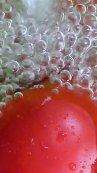 Разбрызгивание воды на помидоры в замедленной съемке вертикального видео - Кадры, видео
