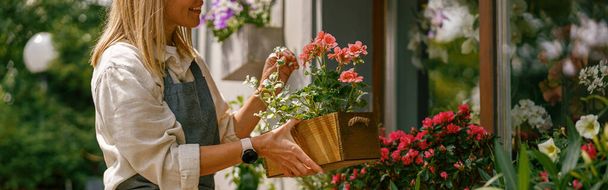 Nainen kukkakauppias huolehtii huonekasvi kukkakauppa. Kasvinhoitokonsepti. Laadukas kuva - Valokuva, kuva