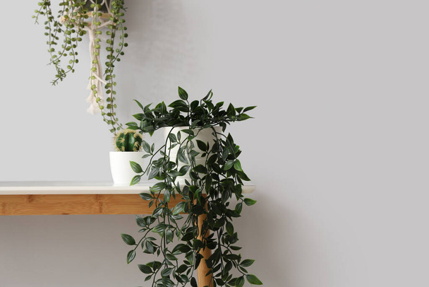 Консольный стол с различными домашними растениями у белой стены - Фото, изображение