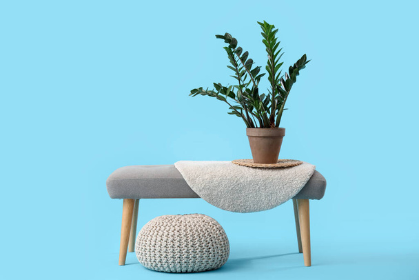 Grey bench with houseplant and pouf on blue background - Photo, Image
