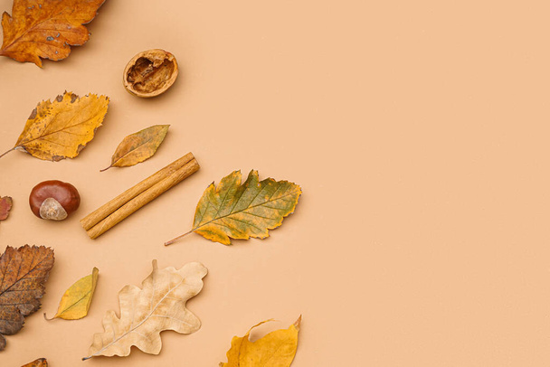 Gyönyörű őszi kompozíció bézs háttérrel - Fotó, kép