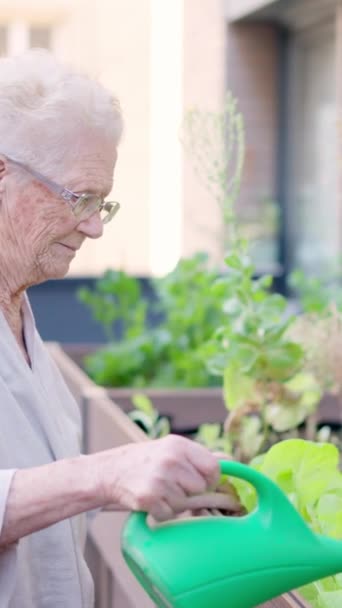 Video vanhempi nainen kastelu kasveja ja hoitaja lähestyy häntä geriatric - Materiaali, video