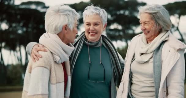 Gesprächsfreudige, lustige und ältere Freundinnen treffen sich im Park zum gemeinsamen Binden im Ruhestand. Glücklich, lächelnd und lachend mit einer Gruppe älterer Menschen, die sich in einem Garten unterhalten, um Humor oder Spaß zu haben. - Filmmaterial, Video