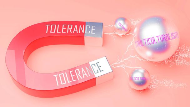 Tolerance attracts Multiculturalism. A magnet metaphor in which Tolerance attracts multiple Multiculturalism steel balls. - Photo, Image