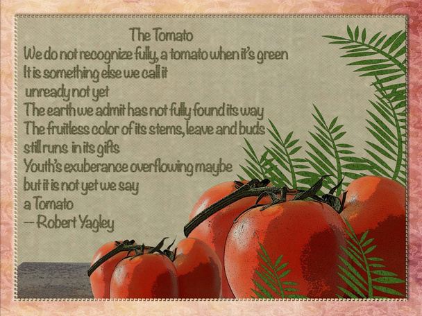 Tomaatti.
 - Valokuva, kuva