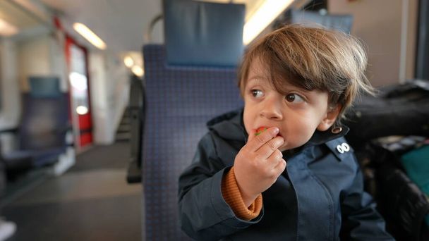 Gyermek tartó bogyók belül utazási konténer eszik egészséges gyümölcs snack, miközben ül a vonaton utazás közben rágcsálás közben az úton - Fotó, kép