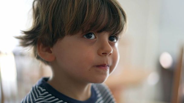 Portrait of handsome male caucasian child. close-up face of little boy - Photo, Image