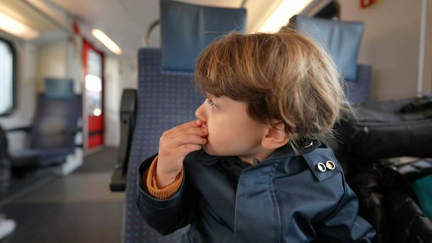 Child holding berries inside travel container eating healthy fruit snack while seated inside train traveling while munching on the go - Photo, Image