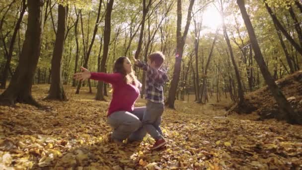 Onder het bladerdak van de herfst: Moeder en Zonen Speelse Bladeren-Tossing Avontuur in het betoverende park. Hoge kwaliteit 4k beeldmateriaal - Video