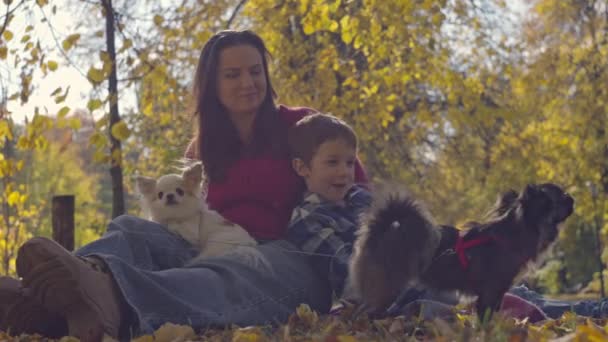 Tranquillità autunnale: un'avventura picnic felice con mamma, figlio e adorabili compagni canini. Filmati 4k di alta qualità - Filmati, video